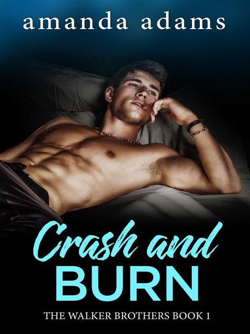 Title details for Crash and Burn by Amanda Adams - Wait list